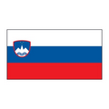 Slovenia Flag Temporary Tattoo (1.5"x2")